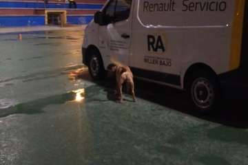 Marpequeña, sede de un campeonato de Detección Deportiva (Foto TA)